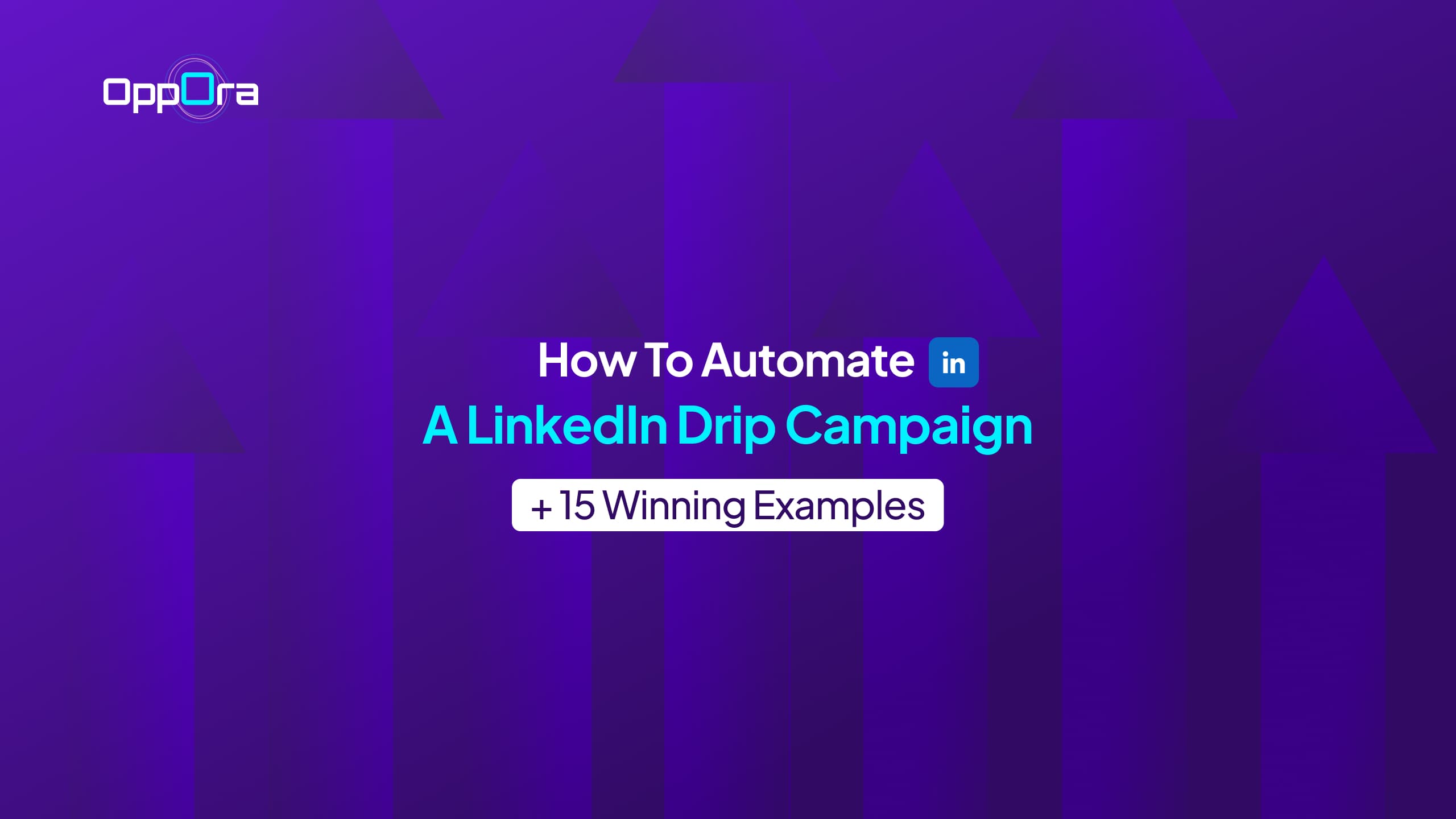 How to Automate a LinkedIn Drip Campaign + 15 Winning Examples